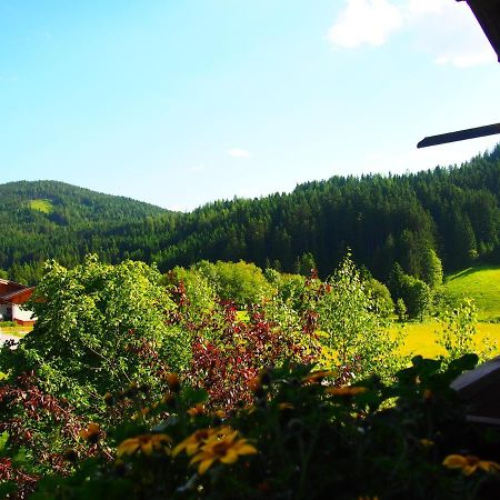 Appartment Kainhofer Sankt Martin am Tennengebirge Exterior foto