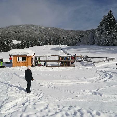 Appartment Kainhofer Sankt Martin am Tennengebirge Exterior foto