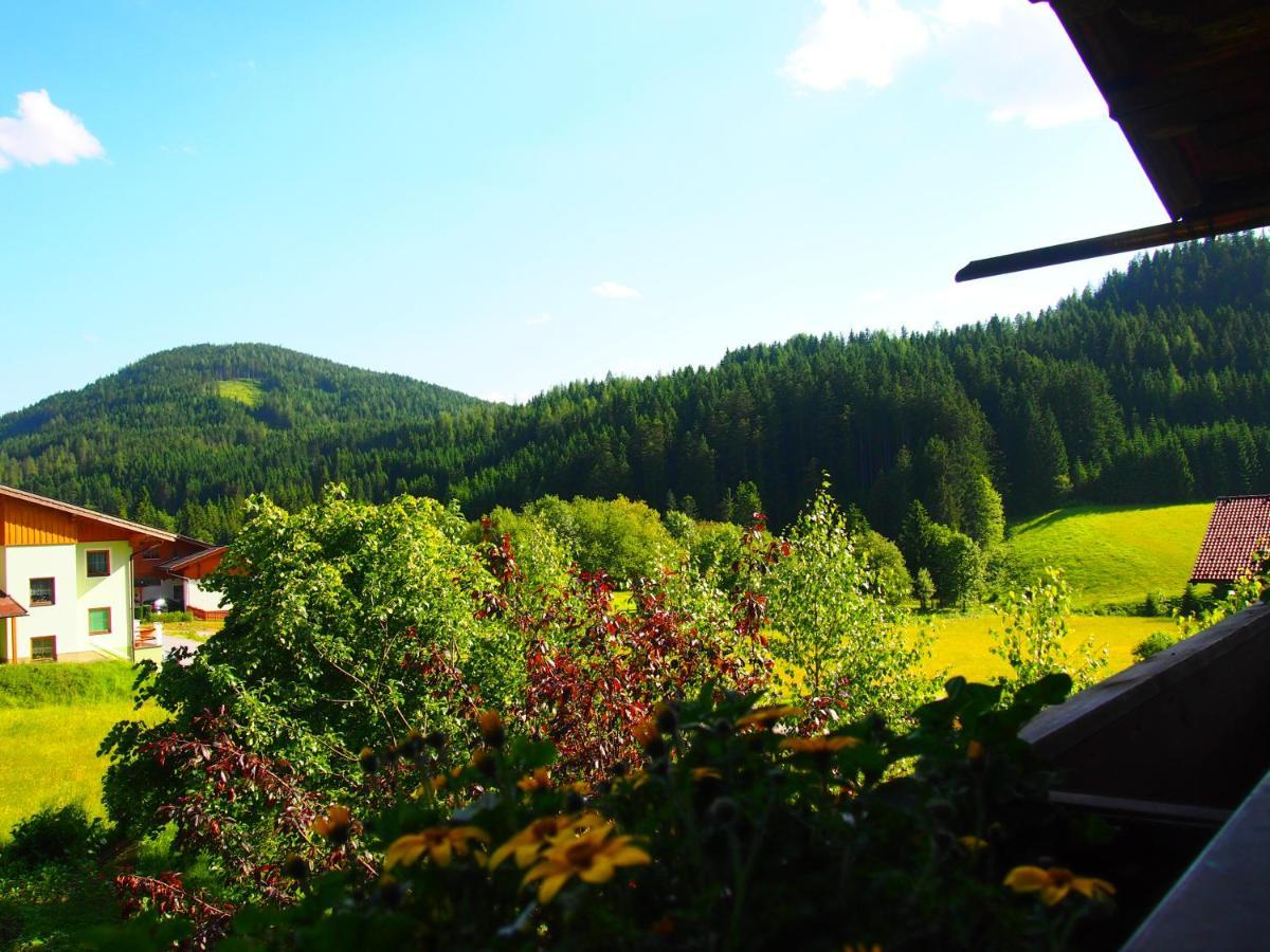 Appartment Kainhofer Sankt Martin am Tennengebirge Exterior foto