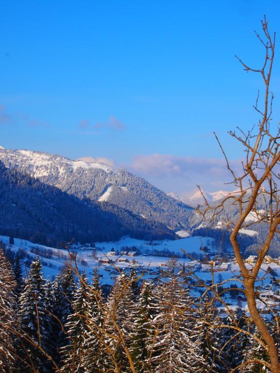 Appartment Kainhofer Sankt Martin am Tennengebirge Exterior foto