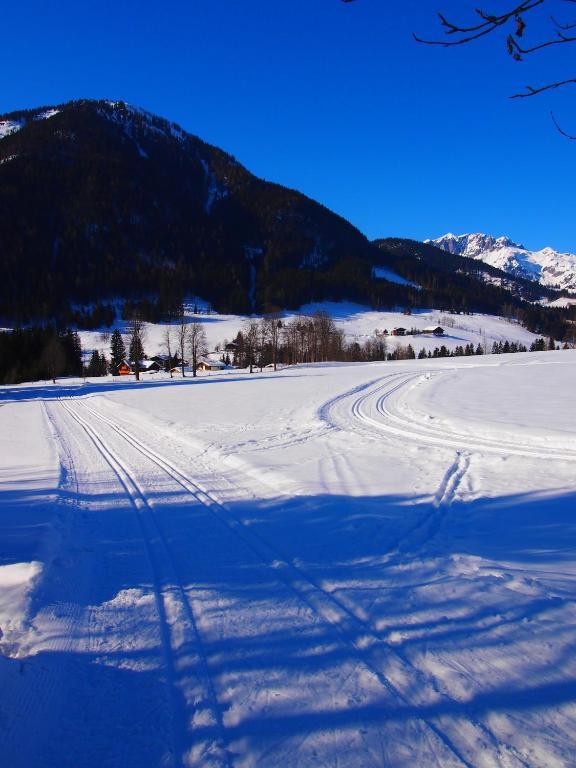 Appartment Kainhofer Sankt Martin am Tennengebirge Exterior foto