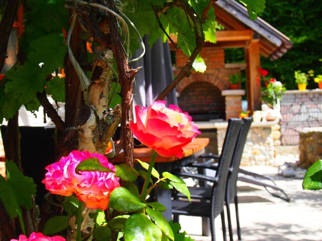 Appartment Kainhofer Sankt Martin am Tennengebirge Habitación foto